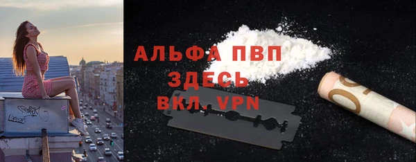 PSILOCYBIN Верхний Тагил