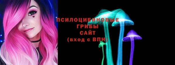 PSILOCYBIN Верхний Тагил