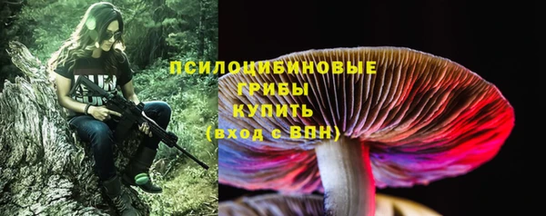 PSILOCYBIN Верхний Тагил