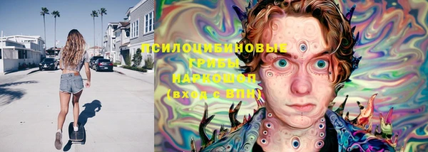 PSILOCYBIN Верхний Тагил