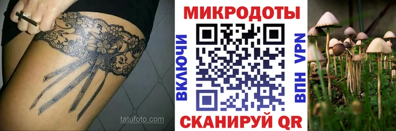 Галлюциногенные грибы Psilocybe  Вилючинск 