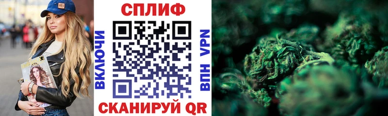 площадка телеграм  Вилючинск  Канабис Bruce Banner 